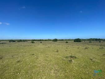 https://web5.gallito.com.uy/imperdible-oportunidad-campo-con-potencial-de-fraccionar-en-inmuebles-24240648