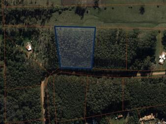 https://web5.gallito.com.uy/vendo-terreno-de-1-hectarea-tipo-chacra-en-laguna-del-diar-inmuebles-23822703