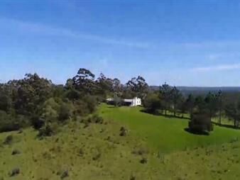 https://www.gallito.com.uy/campo-ganadero-y-recreo-en-garzon-116-has-con-casa-inmuebles-23475960