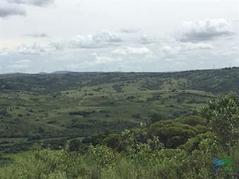 https://web5.gallito.com.uy/chacras-con-vistas-increibles-monte-nativo-naturaleza-y-t-inmuebles-23023956