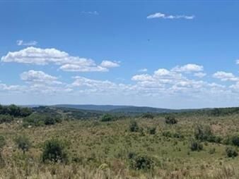https://www.gallito.com.uy/chacras-en-aigua-ruta-109-descanso-paz-y-vistas-increib-inmuebles-23846822