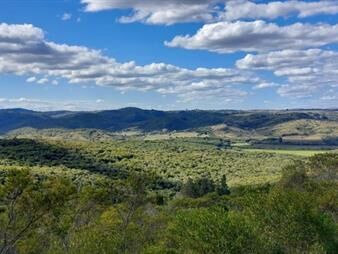 https://web5.gallito.com.uy/17-has-en-plena-sierra-de-carape-monte-nativo-y-vistas-pri-inmuebles-23023954
