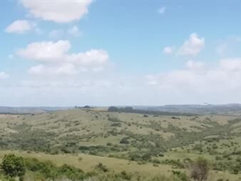 https://web5.gallito.com.uy/excelentes-vistas-y-ubicacion-especial-para-fraccionar-inmuebles-26156410