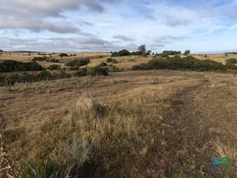 https://www.gallito.com.uy/47-has-a-20-minutos-jose-ignacio-y-3-kms-de-r9-inmuebles-22538718