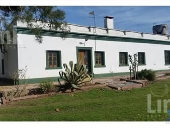 https://www.gallito.com.uy/precio-rebajado-estancia-3000-has-en-33-ganadero-foresta-inmuebles-22538464
