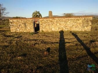 https://www.gallito.com.uy/82-has-cerca-de-pueblo-eden-y-r12-inmuebles-22538428