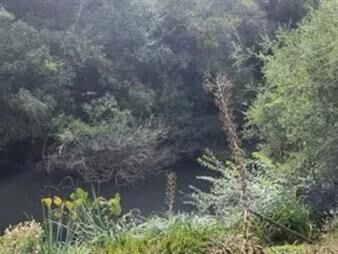 https://www.gallito.com.uy/a-tan-solo-2-kms-de-p-eden-chacra-de-5-has-con-monte-arr-inmuebles-23872410