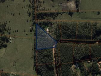 https://web5.gallito.com.uy/venta-de-terreno-de-10000-m2-en-laguna-del-diario-punta-de-inmuebles-23886686