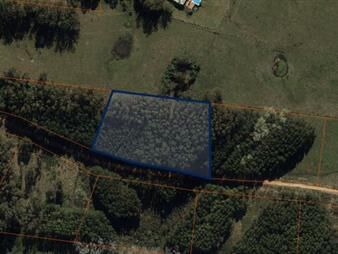 https://web5.gallito.com.uy/terreno-de-10000-m2-en-las-silvias-punta-del-este-laguna-inmuebles-23886682