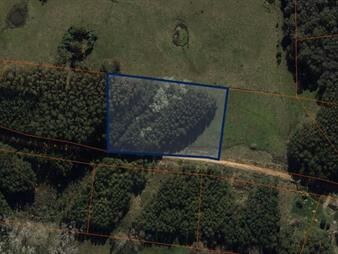 https://web5.gallito.com.uy/venta-de-terreno-en-las-silvias-punta-del-este-laguna-del-inmuebles-23886683