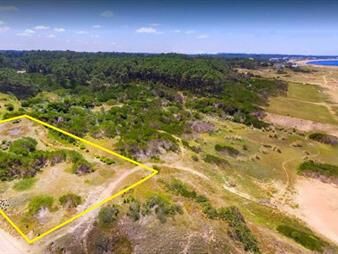https://web5.gallito.com.uy/venta-terreno-primera-linea-playa-mansa-inmuebles-22538648