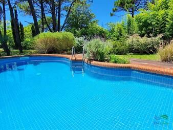 https://www.gallito.com.uy/vendo-casa-4-dormitorios-terreno-3000-m2-piscina-en-bra-inmuebles-22538240