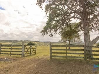 https://www.gallito.com.uy/estancia-de-882-has-campo-mixto-ganadero-forestal-muy-bi-inmuebles-24206332