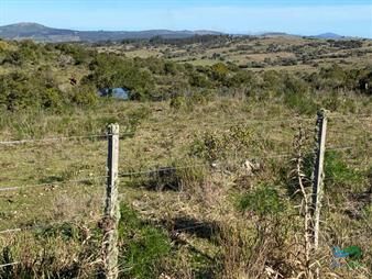 https://www.gallito.com.uy/en-venta-chacra-con-vistas-panoramicas-y-monte-nativo-inmuebles-22538136