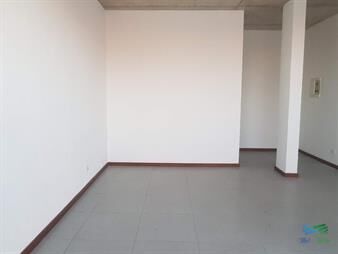 https://www.gallito.com.uy/local-a-la-calle-con-cochera-en-maldonado-inmuebles-22537897