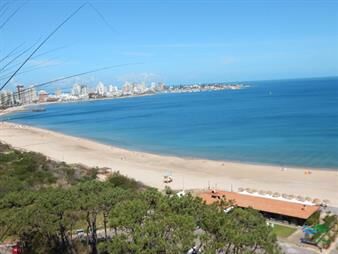 https://web5.gallito.com.uy/espectacular-planta-reciclada-con-materiales-de-primera-ca-inmuebles-22537892