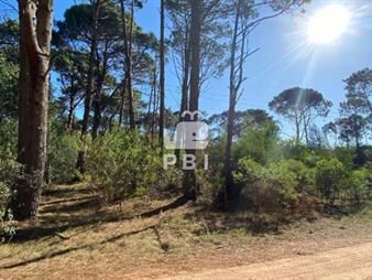https://web5.gallito.com.uy/terreno-en-venta-club-del-lago-ref-pbi1387-inmuebles-23063210