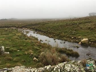 https://web5.gallito.com.uy/198-has-sobre-ruta-12-arroyo-monte-nativo-a-15-kms-de-p-inmuebles-22538556