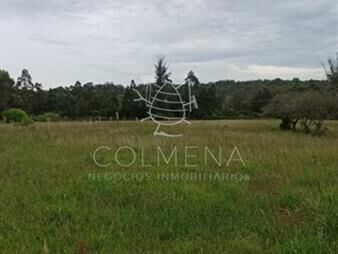 https://web5.gallito.com.uy/chacra-11-has-con-casa-inmuebles-27129752