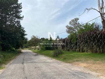 https://web5.gallito.com.uy/excelente-lote-en-golf-punta-del-este-inmuebles-25034868