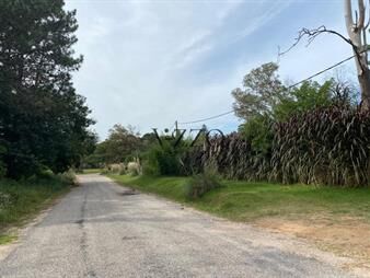 https://web5.gallito.com.uy/excelente-lote-en-golf-punta-del-este-inmuebles-25611624