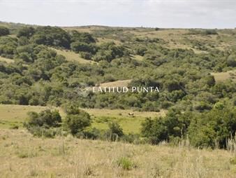 https://www.gallito.com.uy/venta-chacra-5-has-en-jose-ignacio-proxima-a-garzon-inmuebles-25449484