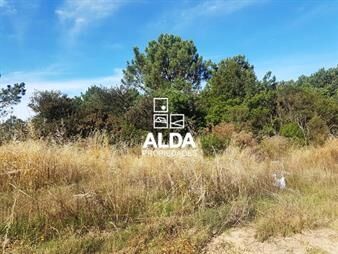 https://web5.gallito.com.uy/terreno-en-punta-colorada-ref-te201542-inmuebles-20297492