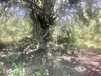 https://www.gallito.com.uy/venta-chacra-11-hectareas-pueblo-eden-maldonado-inmuebles-27155302