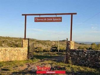 https://www.gallito.com.uy/1-maldonado-5-has-chacras-de-juan-ignacio-fraccion-a-inmuebles-27155843