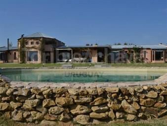 https://web5.gallito.com.uy/1-el-pejerrey-chacra-tierrabuena-inmuebles-27155844