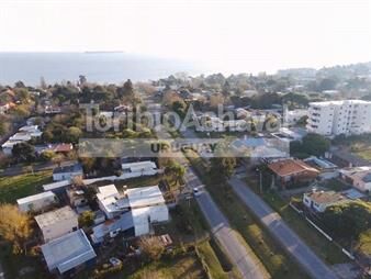 https://web5.gallito.com.uy/real-de-san-carlos-jose-belloni-y-paul-harris-inmuebles-27155851