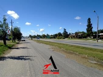 https://web5.gallito.com.uy/ruta-1-colonia-valdense-inmuebles-27155865