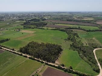 https://web5.gallito.com.uy/colonia-valdense-6-2-has-inmuebles-27155866