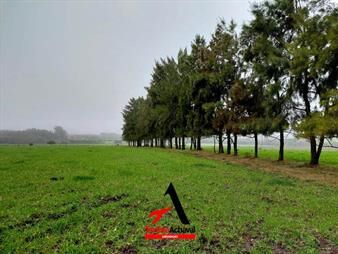 https://web5.gallito.com.uy/colonia-valdense-6-has-inmuebles-27155867