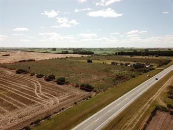 https://web5.gallito.com.uy/colonia-1-ha-ruta-1-radial-santa-ana-inmuebles-27155872