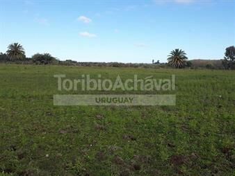 https://web5.gallito.com.uy/la-estanzuela-4881-m2-inmuebles-27155894