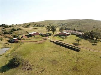 https://www.gallito.com.uy/isla-patrulla-1500-has-treinta-y-tres-inmuebles-27155942