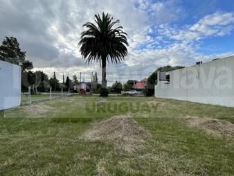 https://web5.gallito.com.uy/muy-lindo-terreno-sobre-av-roger-balet-inmuebles-27155952