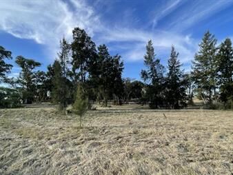 https://web5.gallito.com.uy/parque-jousten-manzana-d-lote-1-inmuebles-27155954