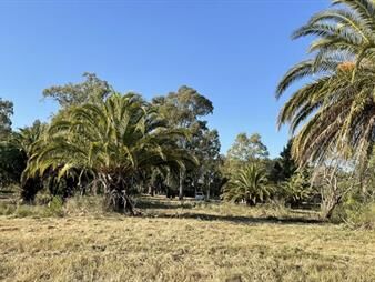 https://web5.gallito.com.uy/parque-jousten-manzana-d-lote-20-inmuebles-27155957