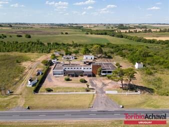 https://www.gallito.com.uy/planta-idustrial-sobre-ruta-1-colonia-valdense-inmuebles-27155978