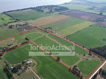 https://web5.gallito.com.uy/excelente-chacra-de-14-has-en-san-pedro-importantes-mejor-inmuebles-27155991