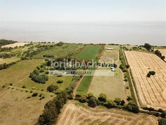 https://web5.gallito.com.uy/coloniasan-pedro-lote-de-5-has-sobre-la-costa-inmuebles-27155995
