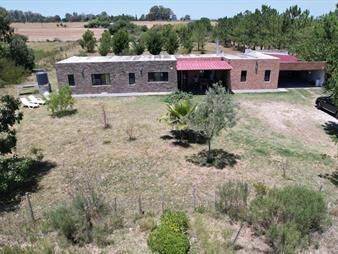 https://web5.gallito.com.uy/chacra-laguna-de-los-patos-inmuebles-27156003
