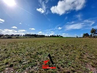 https://web5.gallito.com.uy/venta-de-chacra-ruta-51-5-has-colonia-valdense-inmuebles-27156021