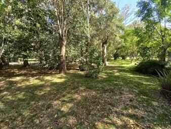 https://web5.gallito.com.uy/hermoso-terreno-arbolado-con-excelente-ubicacion-inmuebles-27156097