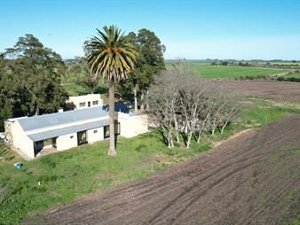 https://web5.gallito.com.uy/chacra-colonia-del-sacramento-inmuebles-27156116