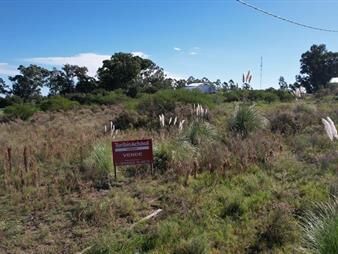 https://web5.gallito.com.uy/terreno-en-venta-colonia-riachuelo-l6-inmuebles-27156127