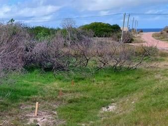 https://web5.gallito.com.uy/terreno-en-punta-del-diablo-a-2-cuadras-de-playa-inmuebles-27156188