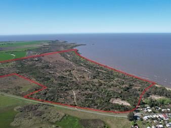 https://web5.gallito.com.uy/campo-en-artilleros-87-has-con-costa-al-rio-de-la-plata-inmuebles-27156257